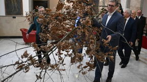 Zajedništvo i solidarnost